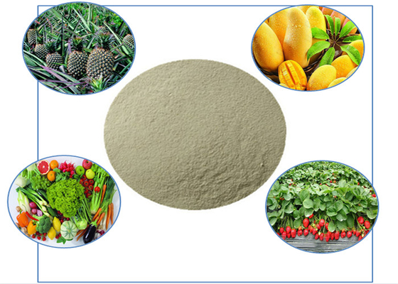 الأسمدة العضوية التي تحتوي على الأحماض الأمينية والكالسيوم والبورون في تغذية النباتات