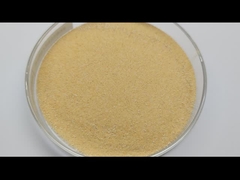 البروبيوتيك