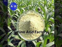 هيدروليزات النباتات الغنية بالببتيدات والأحماض الأمينية مع العملية الإنزيمية والتخمير