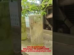 المعادن المخلبة للأحماض الأمينية للمنغنيز تعزز امتصاص الفوسفور