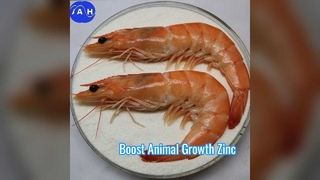 مغنيسيوم مخلب