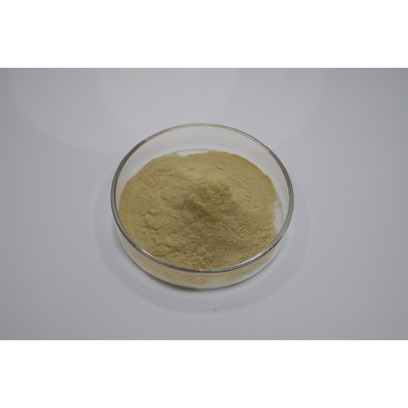 أحدث مدونات الشركة حول From Fermentation to Quality Testing: A Technical Guide to Evaluating 90% Fertilizer Grade Amino Acid Powder
