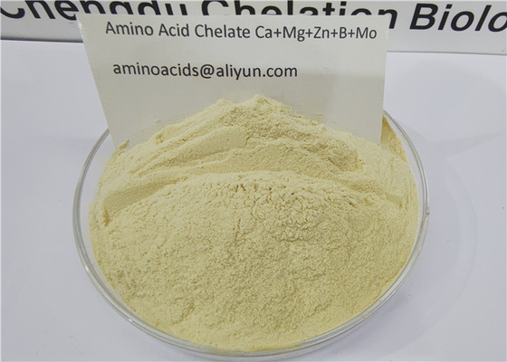 شراء الأحماض الأمينية المخلبة العناصر النزرة الكالسيوم المغنيسيوم الزنك البورون الموليبدينوم online manufacture