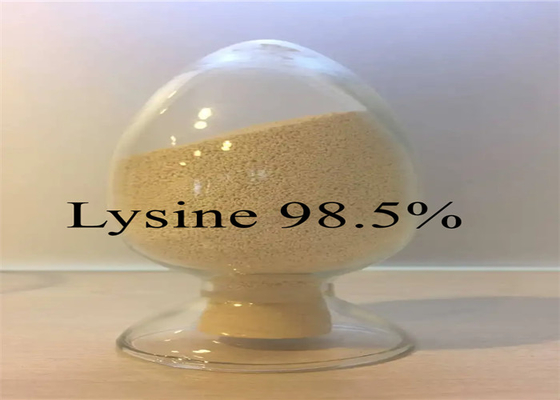 شراء مضافات الأعلاف L-Lysine HCl 98.5٪ للحيوان لتعزيز النمو الصحي online manufacture