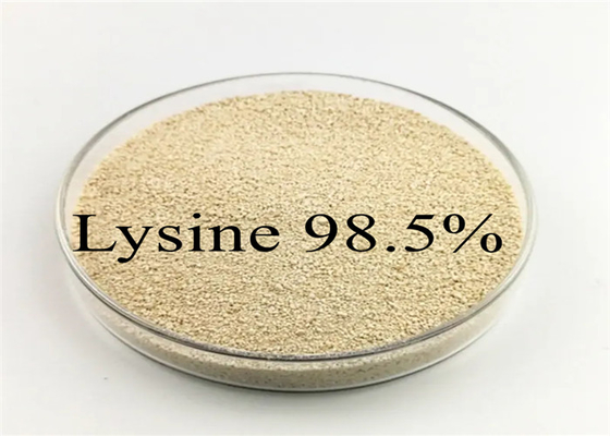 شراء الماشية الدواجن الدجاج خنزير الأعلاف الحيوانية المضافة L ليسين 98.5٪ L- ليسين HCL online manufacture