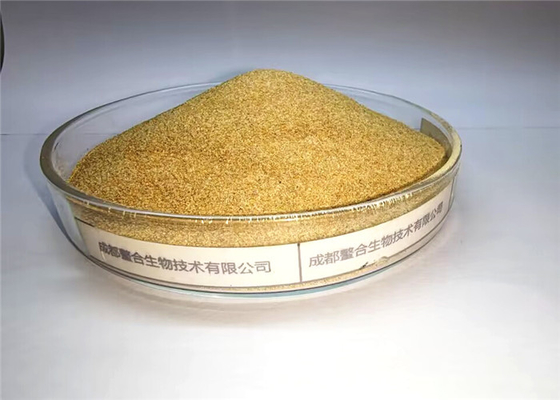 شراء علف أحماض أمينية مستخلبة العناصر النزرة المعادن cu fe zn mn co السيلينيوم اليود بريمكس online manufacture