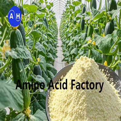 شراء REACH مسجل بروتين الصويا المهدرول مع 80٪ من الأحماض الأمينية لملاعب الغولف online manufacture