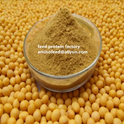 شراء Non-GMO Soy Protein Concentrate with 50% Protein Highly Digestible for Poultry and Aquatic Animals online manufacture