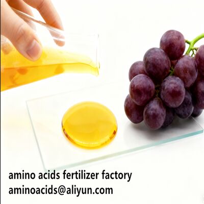 شراء Amino Acid 80% Liquid Hydrolyzed Fertilizer with Free Amino Acid ≥750g/L Total Nitrogen ≥12.0% and High Solubility for Organic Farming online manufacture