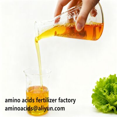 شراء 80% Concentration Amino Acid Liquid Fertilizer with High Purity and Quick Absorption for Enhanced Crop Yields online manufacture
