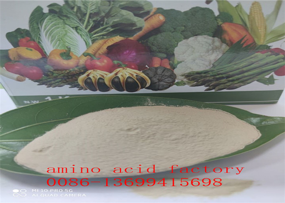 شراء الأحماض الأمينية الحرة 80٪ بروتين الصويا المتحلل بالماء مع تسجيل REACH online manufacture